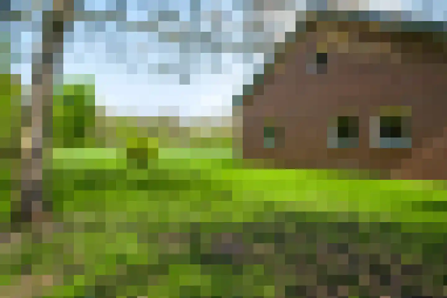 Grotesteeg 8 Weert thumbnail 62