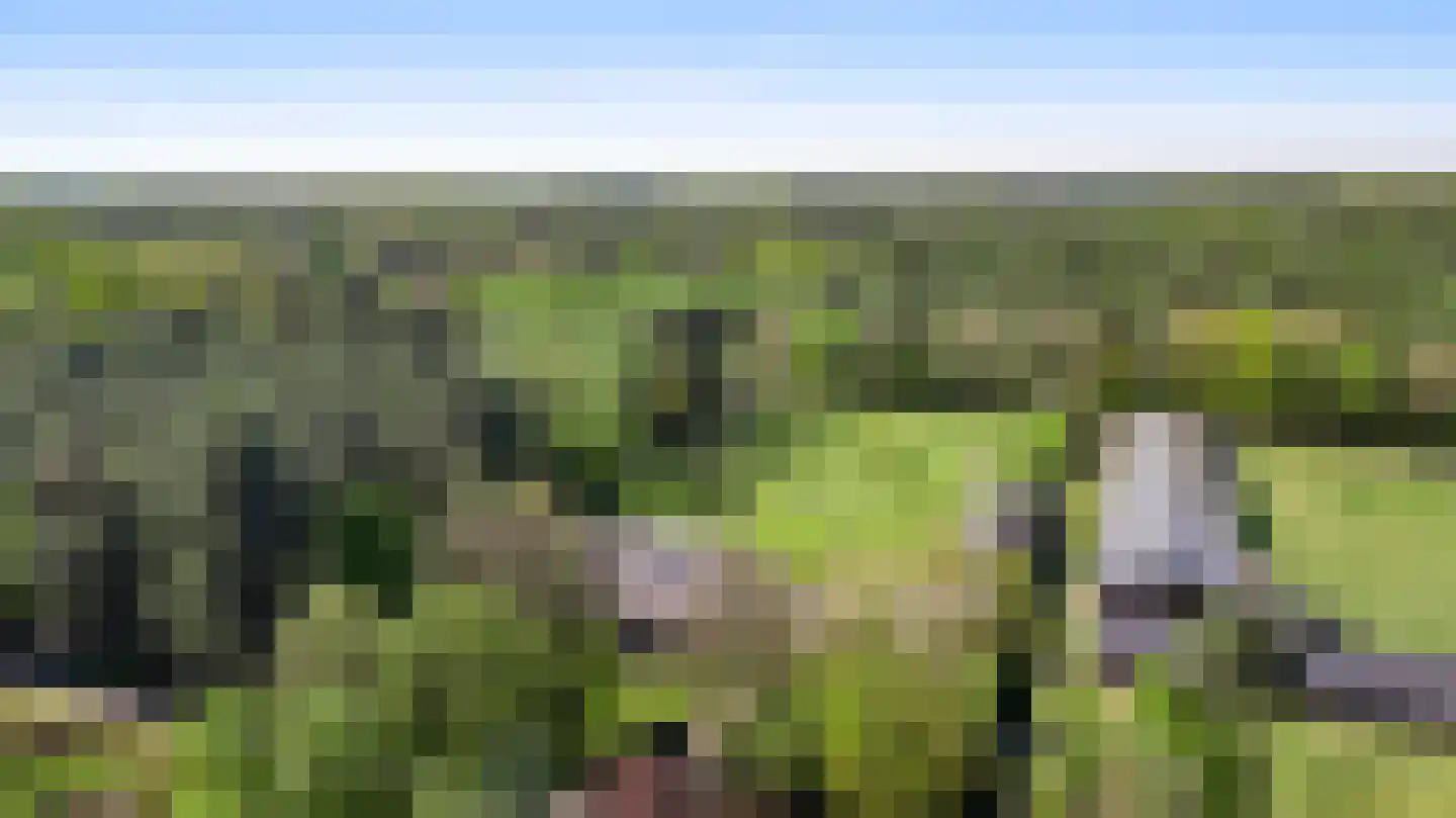 Grotesteeg 8 Weert thumbnail 64