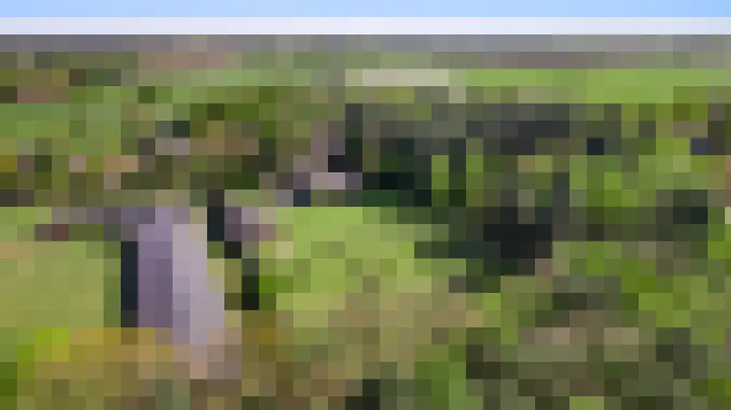 Grotesteeg 8 Weert thumbnail 67