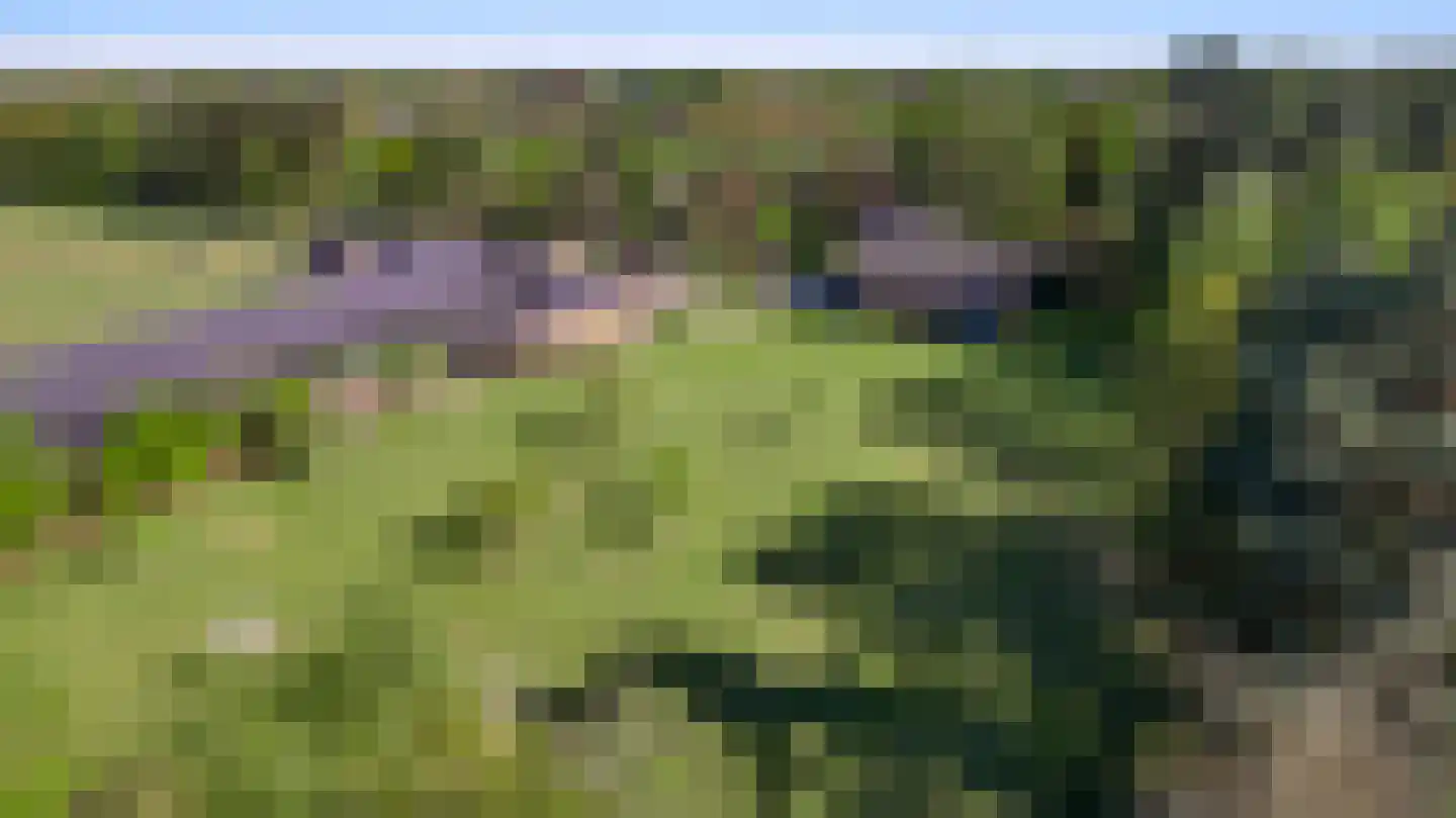 Grotesteeg 8 Weert thumbnail 69