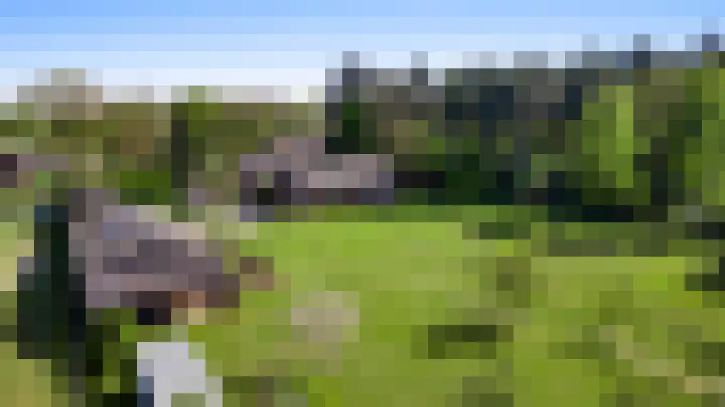 Grotesteeg 8 Weert thumbnail 70