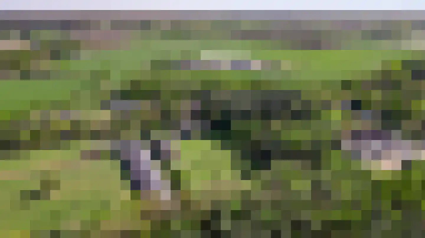 Grotesteeg 8 Weert thumbnail 71