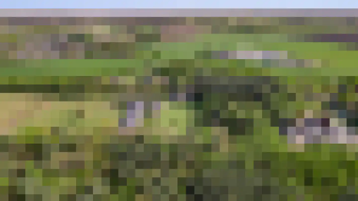 Grotesteeg 8 Weert thumbnail 72