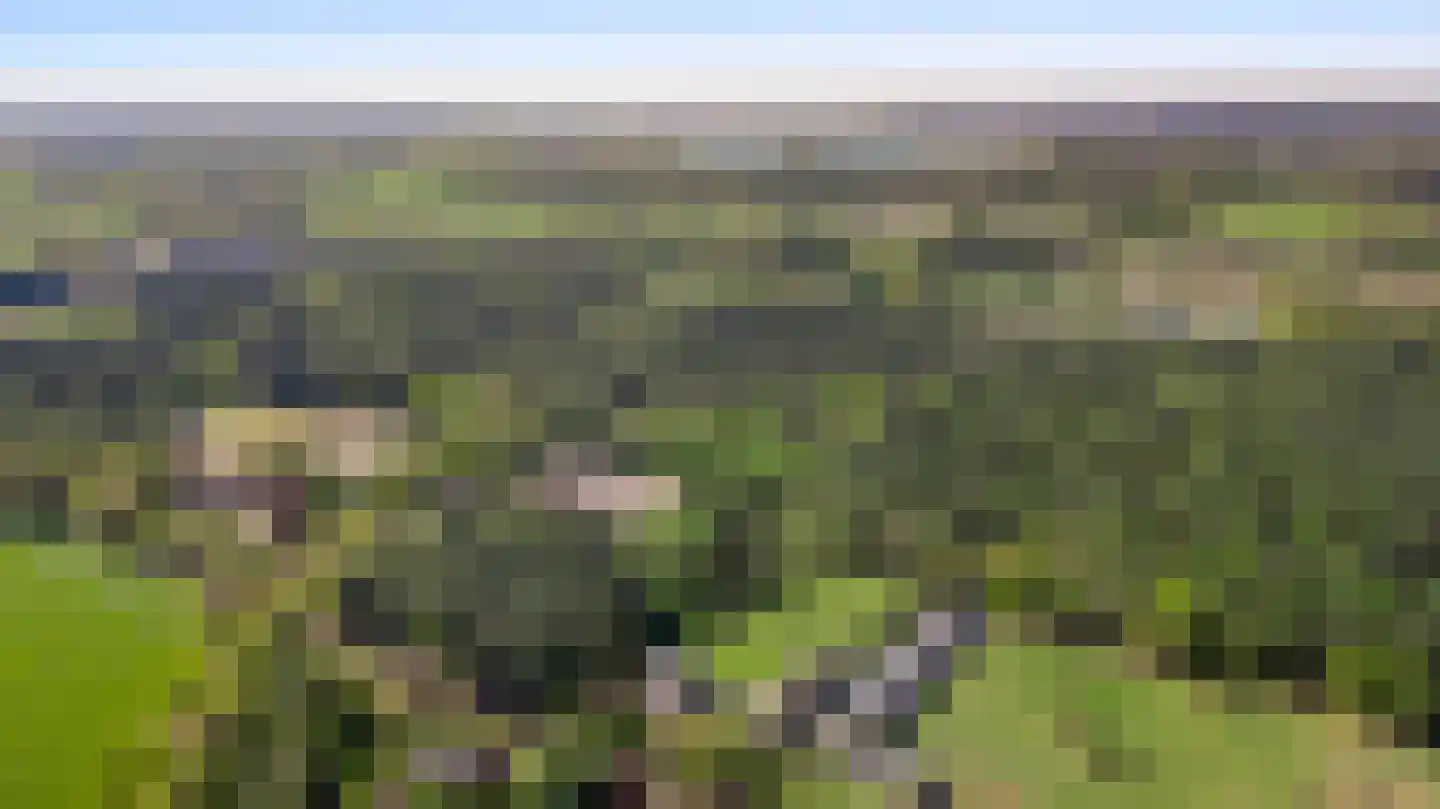 Grotesteeg 8 Weert thumbnail 75