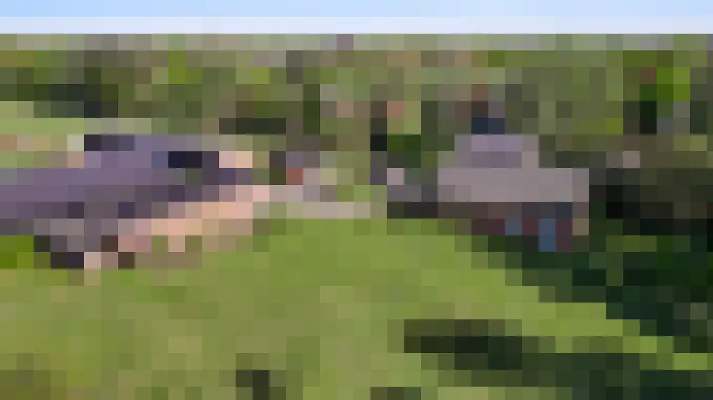 Grotesteeg 8 Weert thumbnail 76