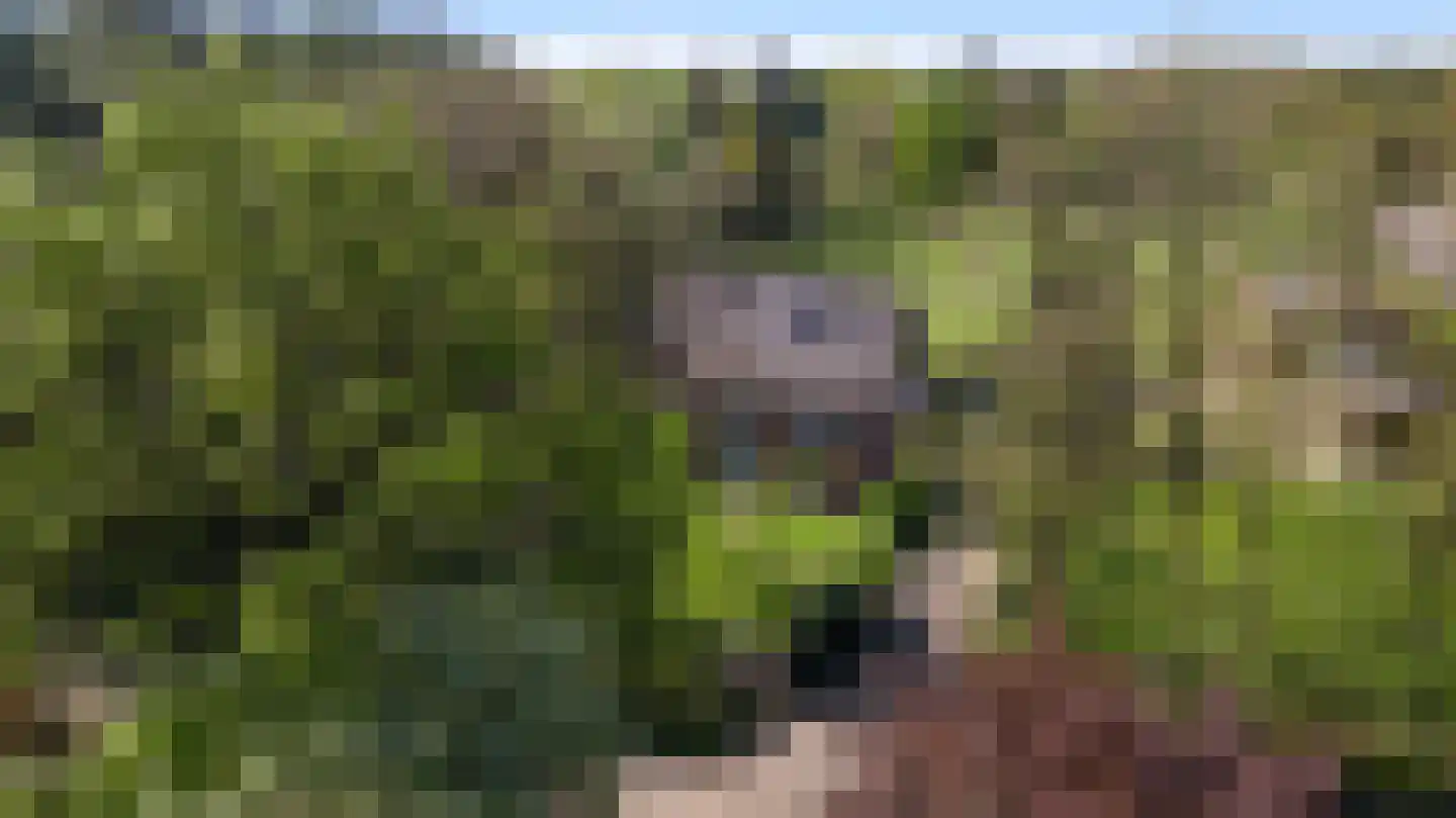 Grotesteeg 8 Weert thumbnail 77