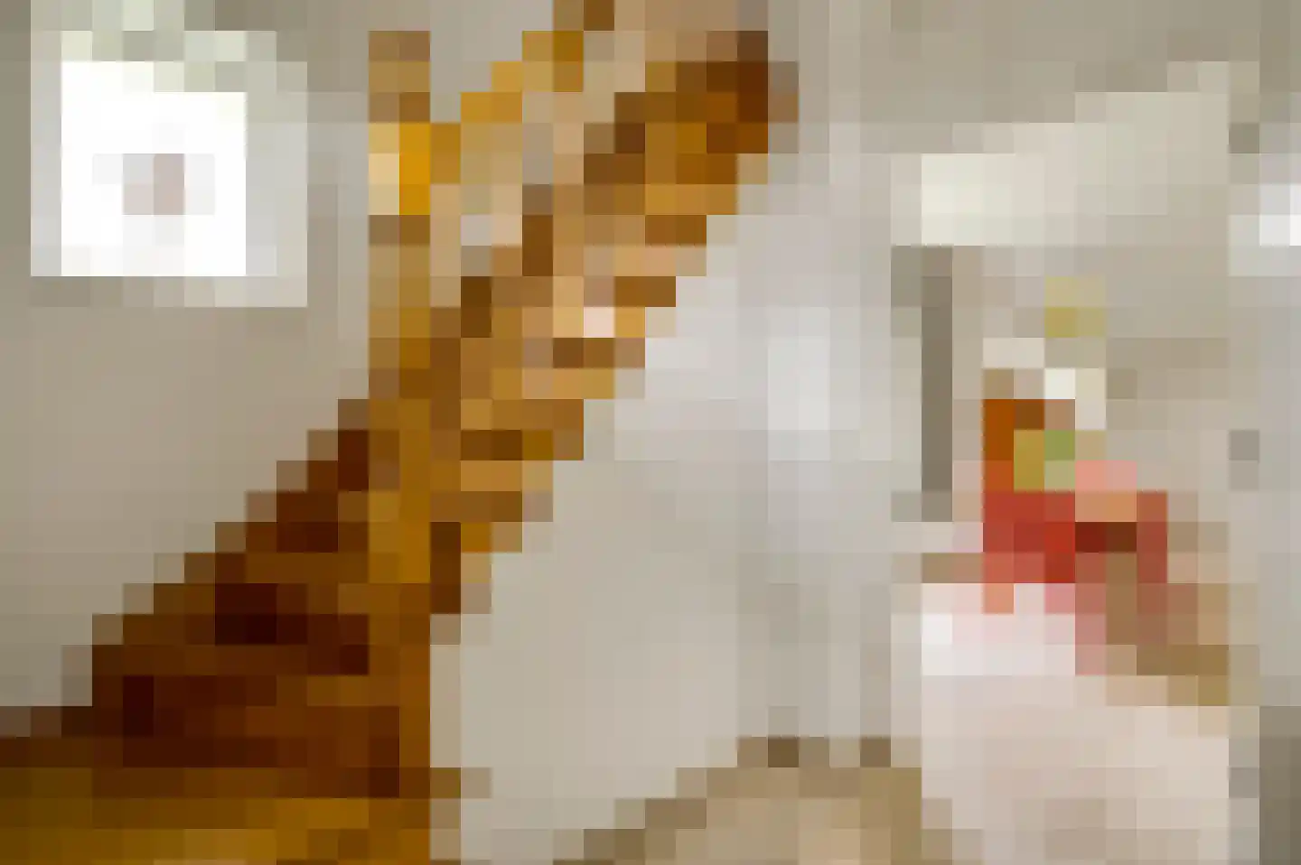 Grotesteeg 8 Weert thumbnail 9
