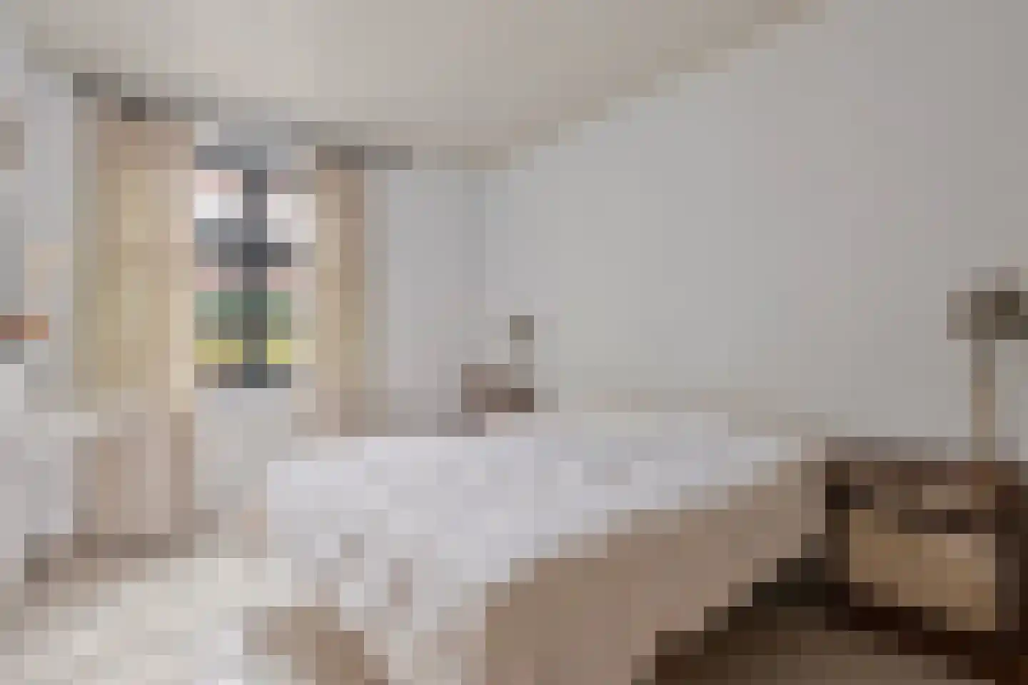 Grotestraat 1 Baarlo thumbnail 13