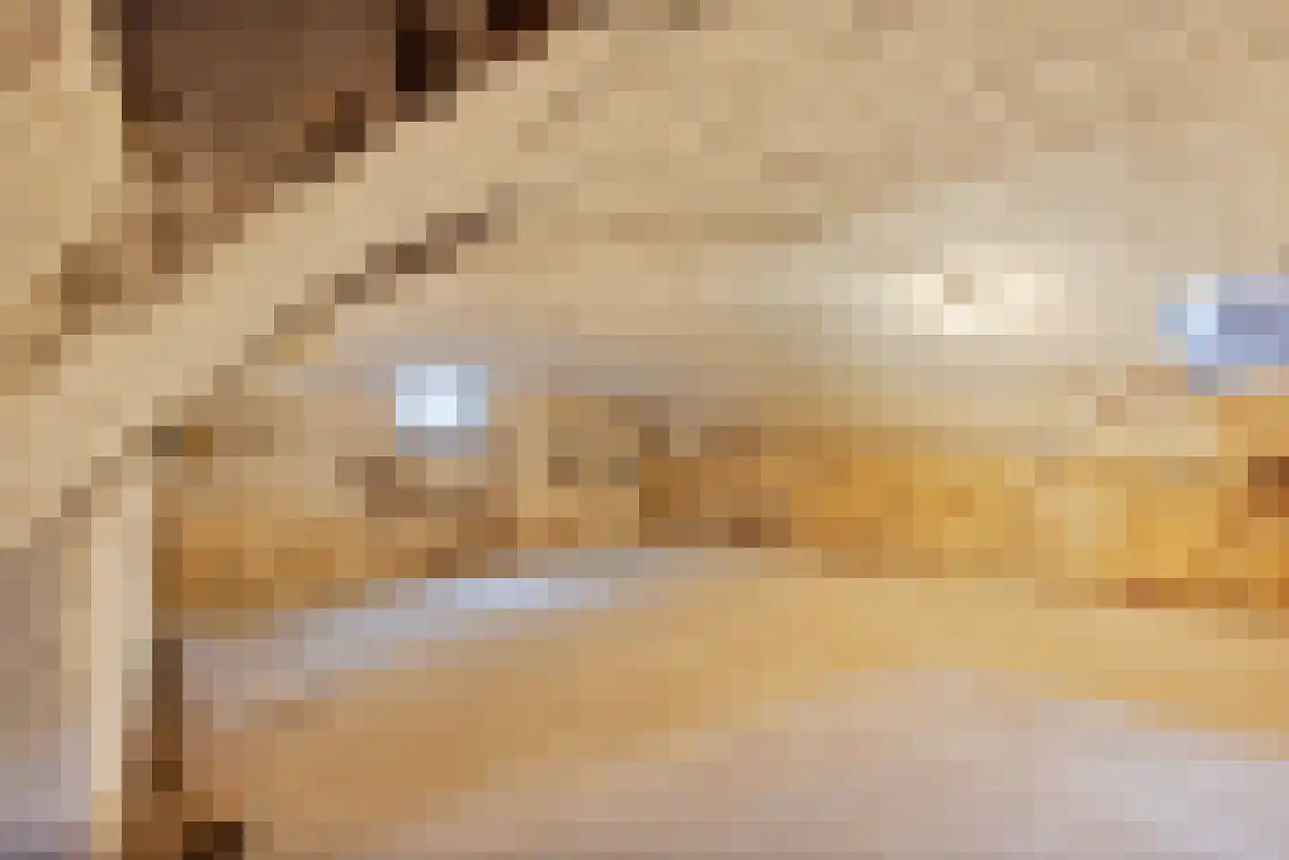 Grotestraat 1 Baarlo thumbnail 20