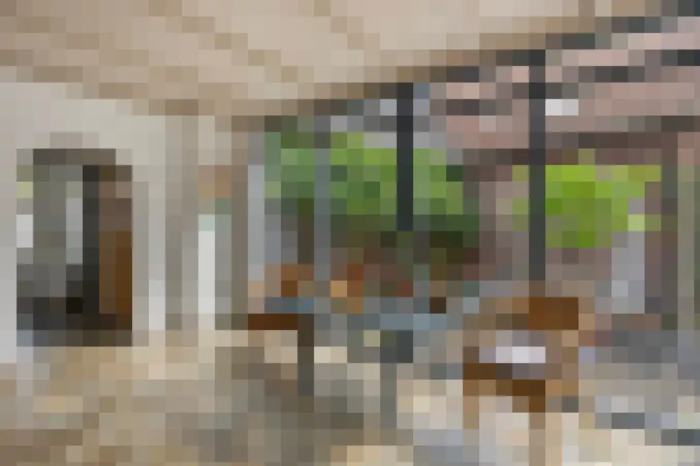 Grotestraat 1 Baarlo thumbnail 22