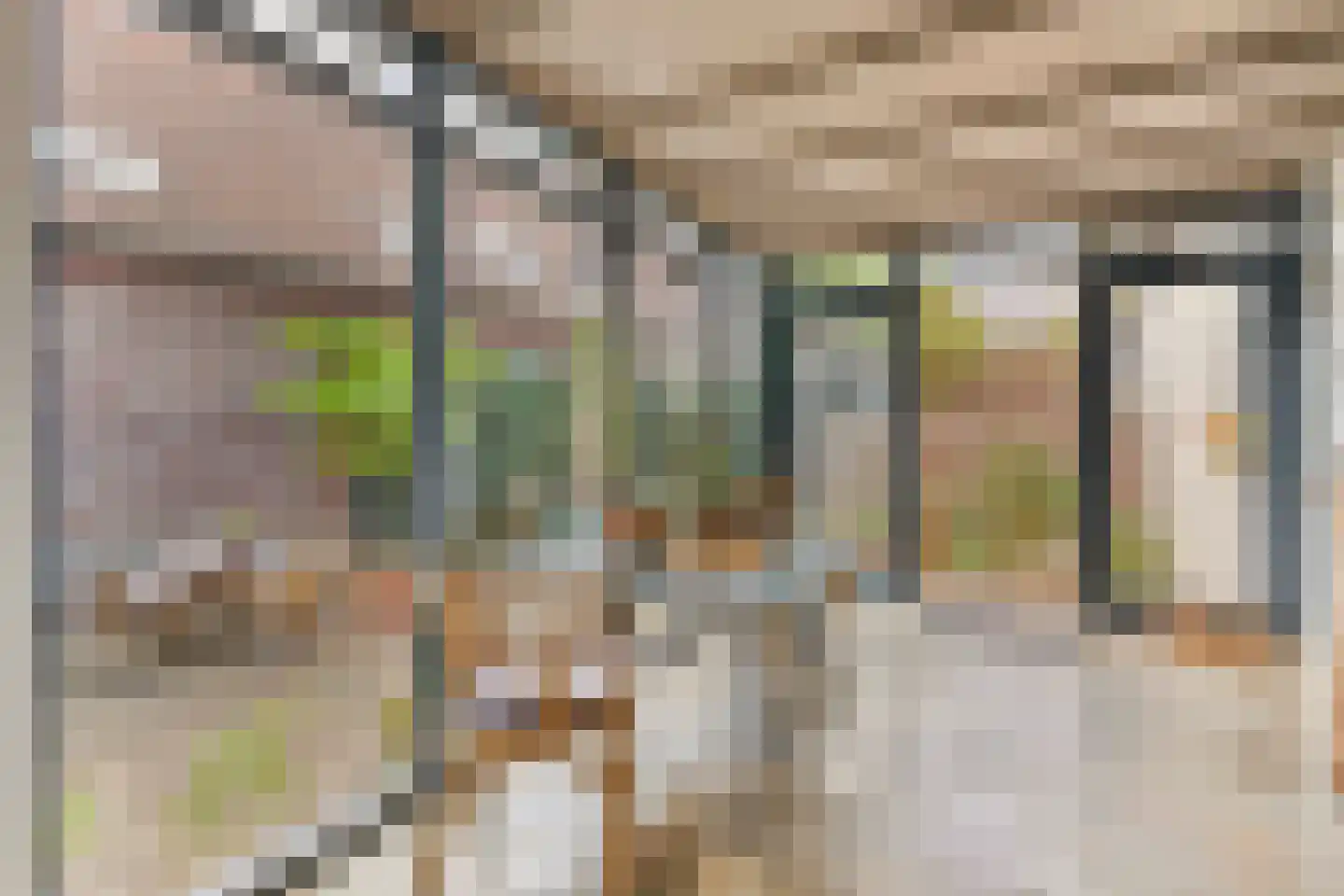 Grotestraat 1 Baarlo thumbnail 26