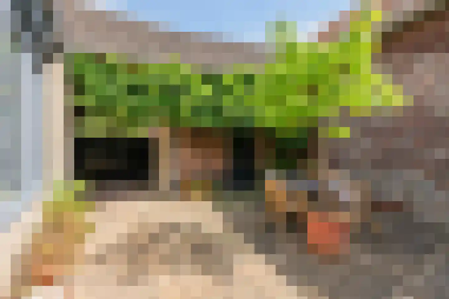 Grotestraat 1 Baarlo thumbnail 28