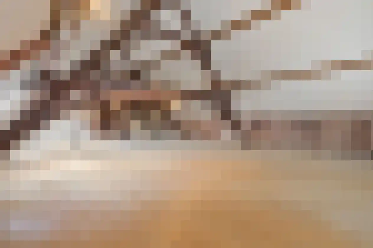 Grotestraat 1 Baarlo thumbnail 32