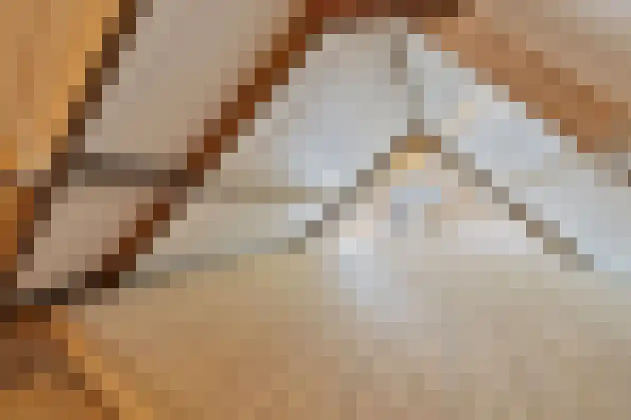 Grotestraat 1 Baarlo thumbnail 37