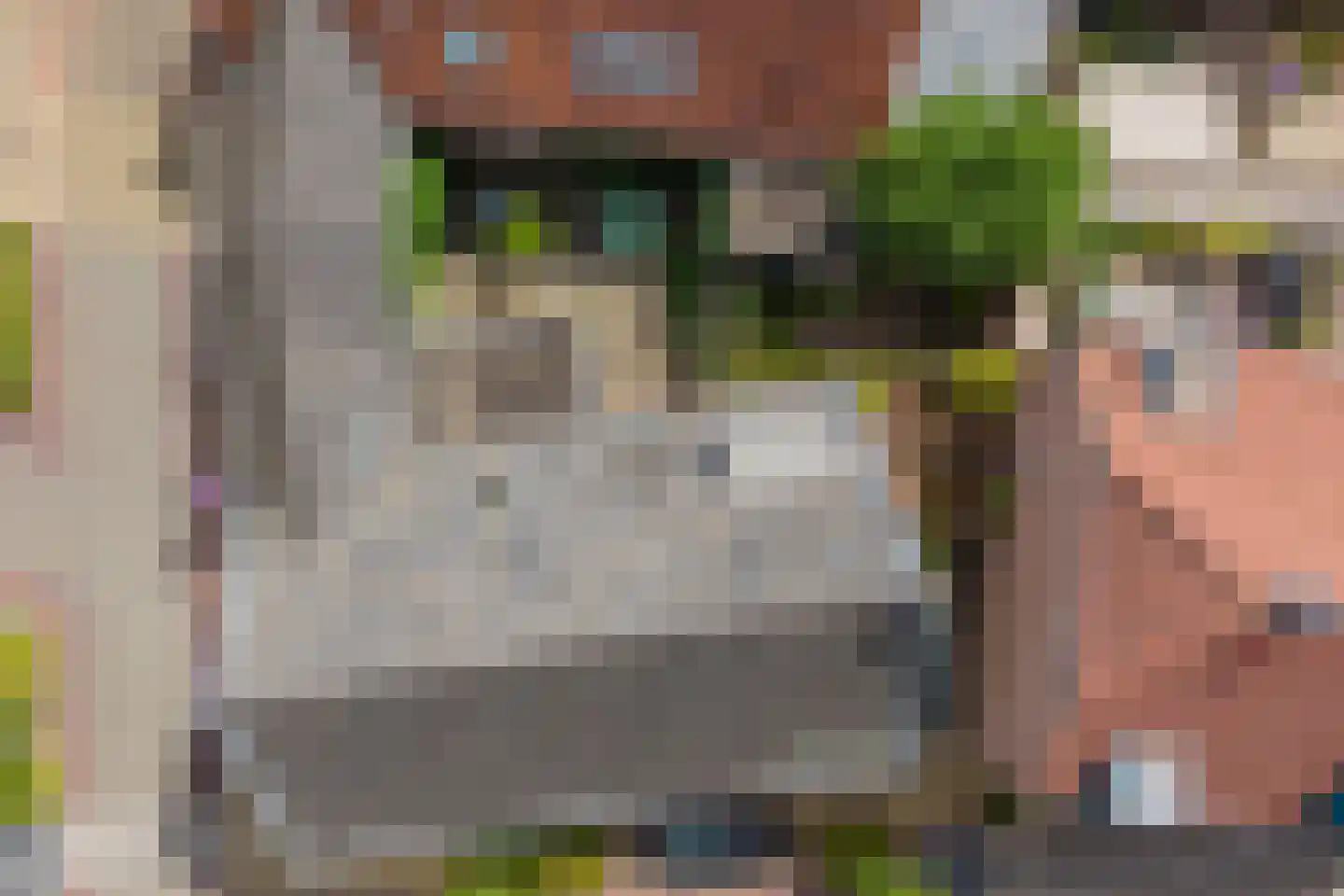 Grotestraat 1 Baarlo thumbnail 45