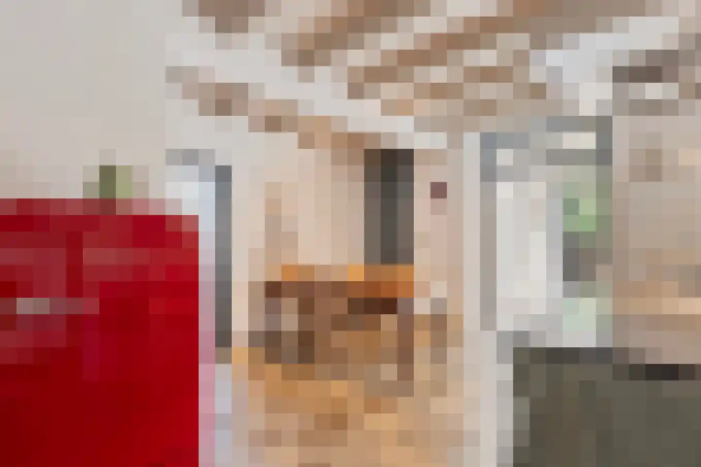 Grotestraat 1 Baarlo thumbnail 9