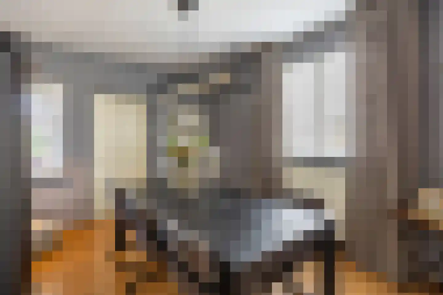 Grotestraat 1 Linne thumbnail 10