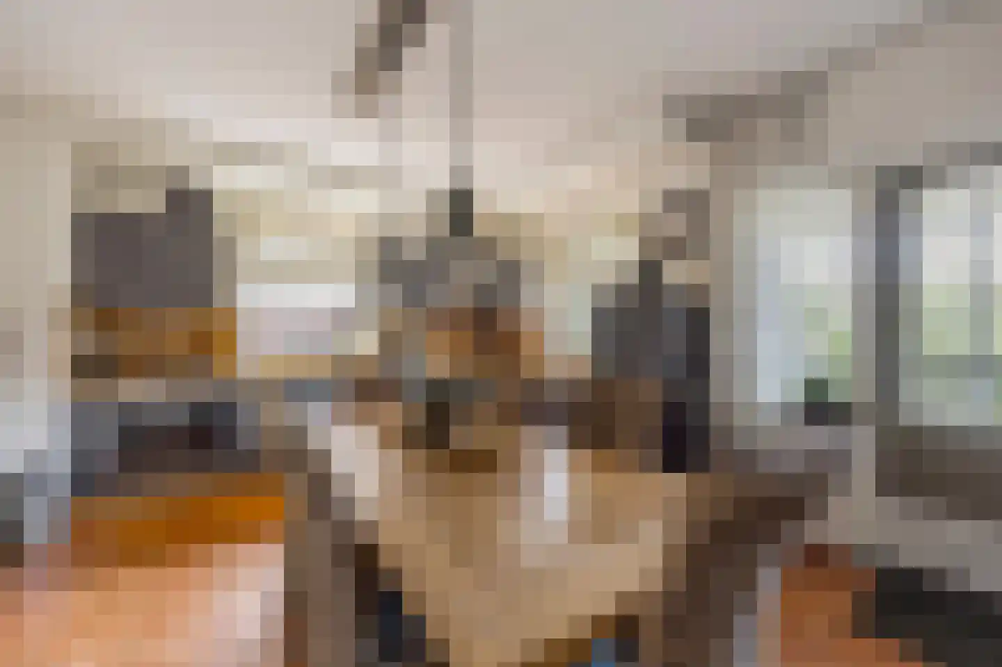 Grotestraat 1 Linne thumbnail 13