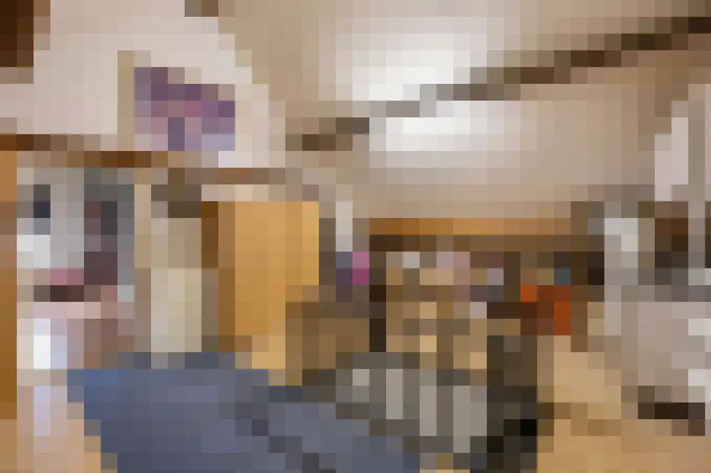 Grotestraat 1 Linne thumbnail 26