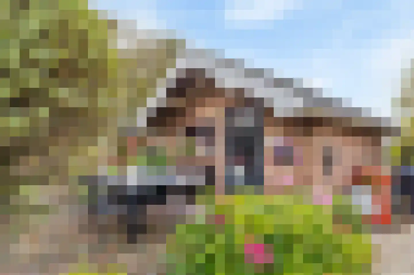 Grotestraat 1 Linne thumbnail 29