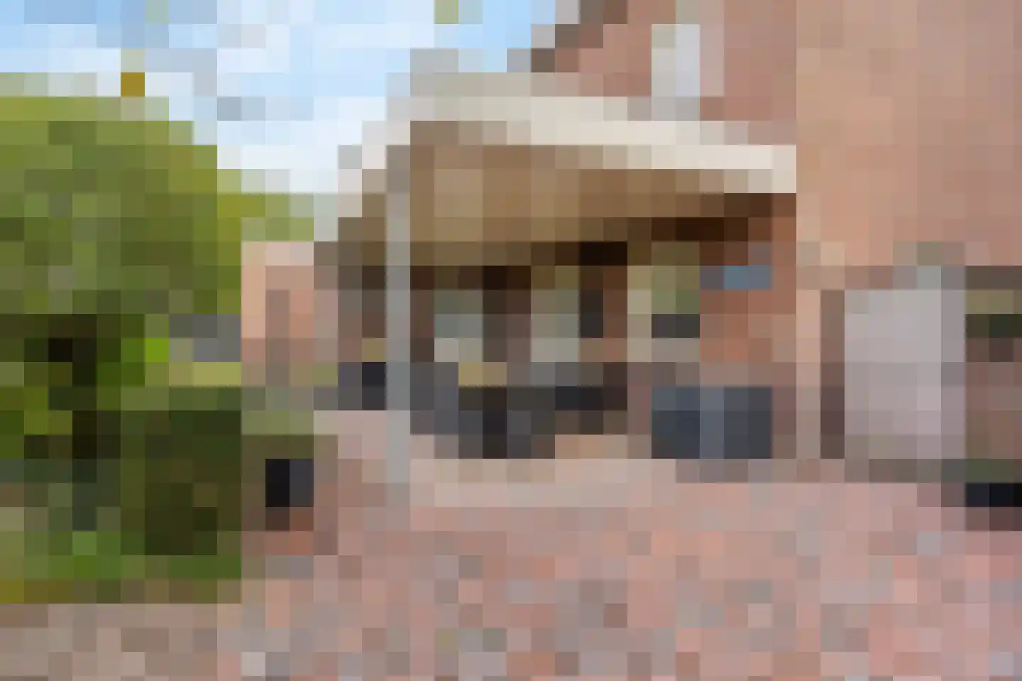 Grotestraat 1 Linne thumbnail 30