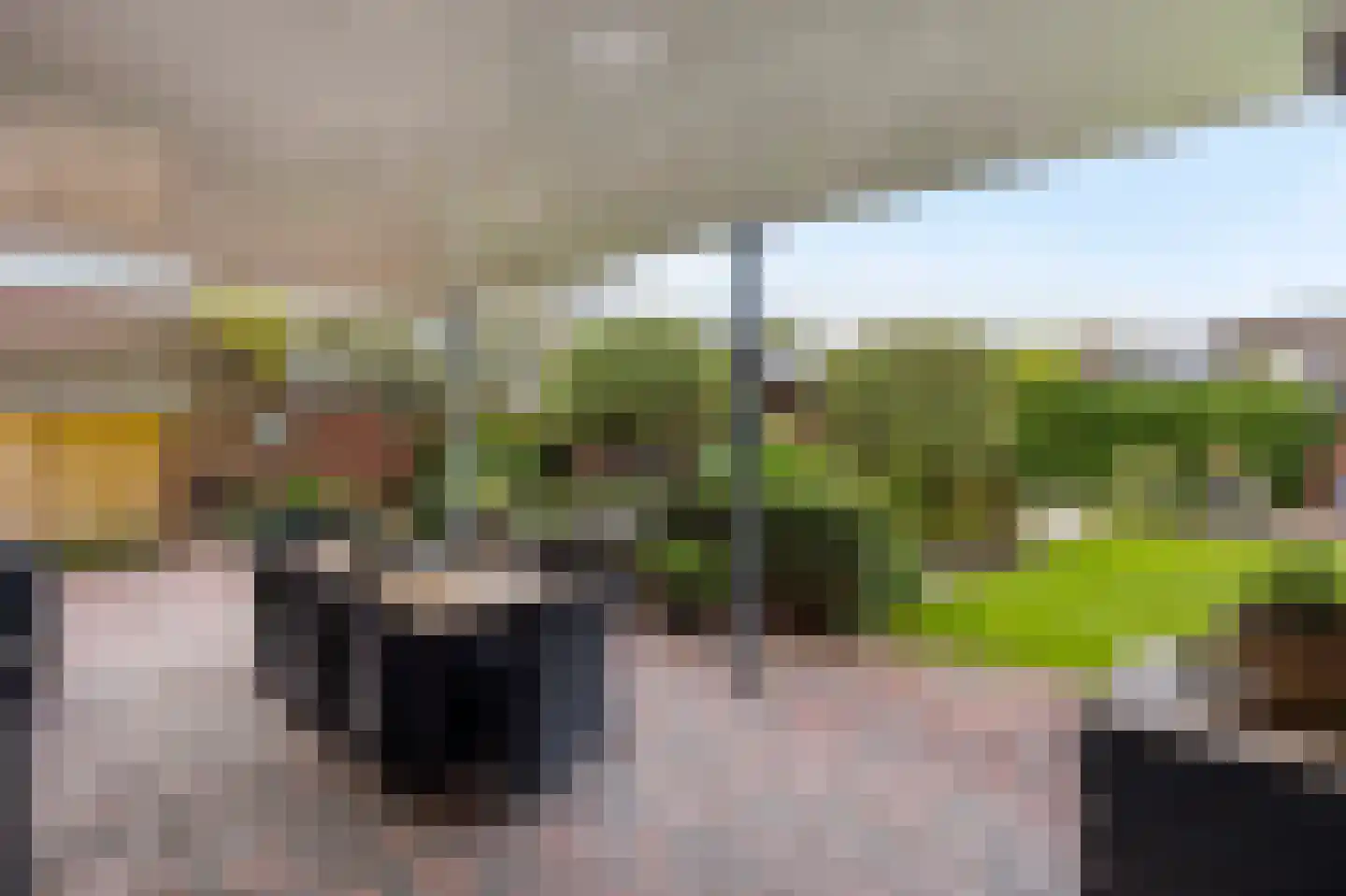 Grotestraat 1 Linne thumbnail 31