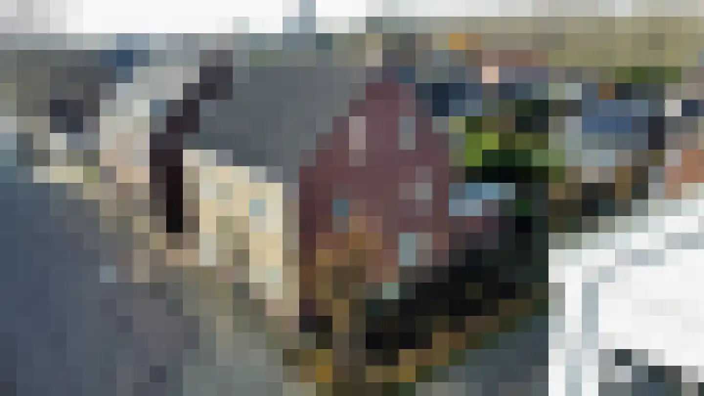 Grotestraat 1 Linne thumbnail 33