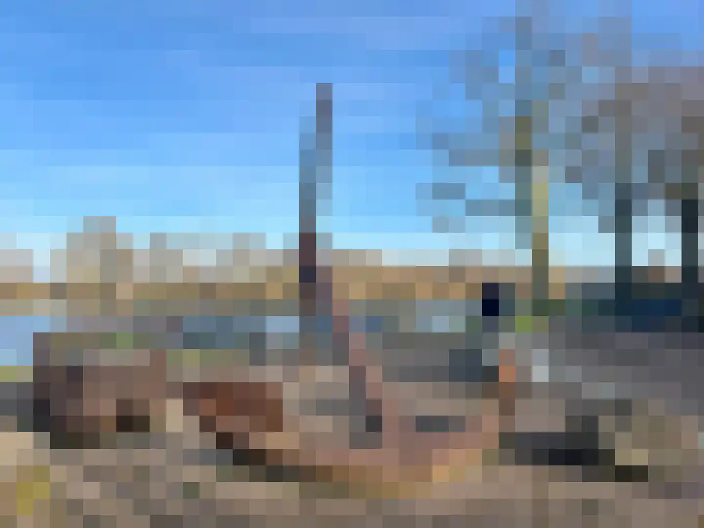 Grotestraat 1 Linne thumbnail 39