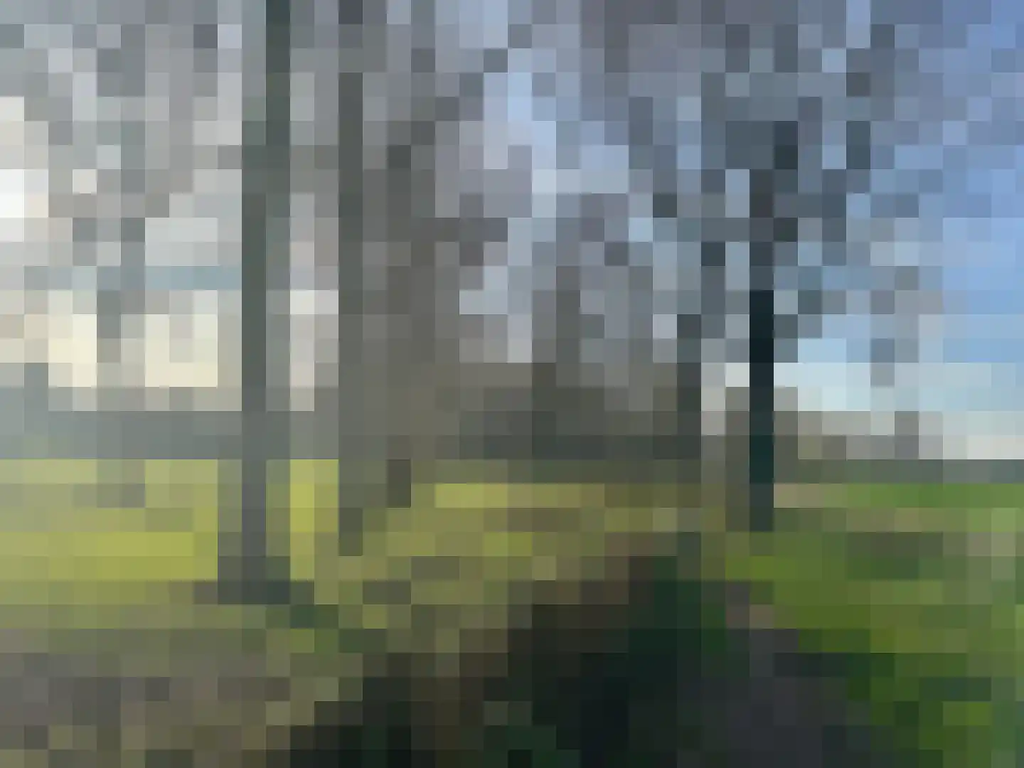 Grotestraat 1 Linne thumbnail 41