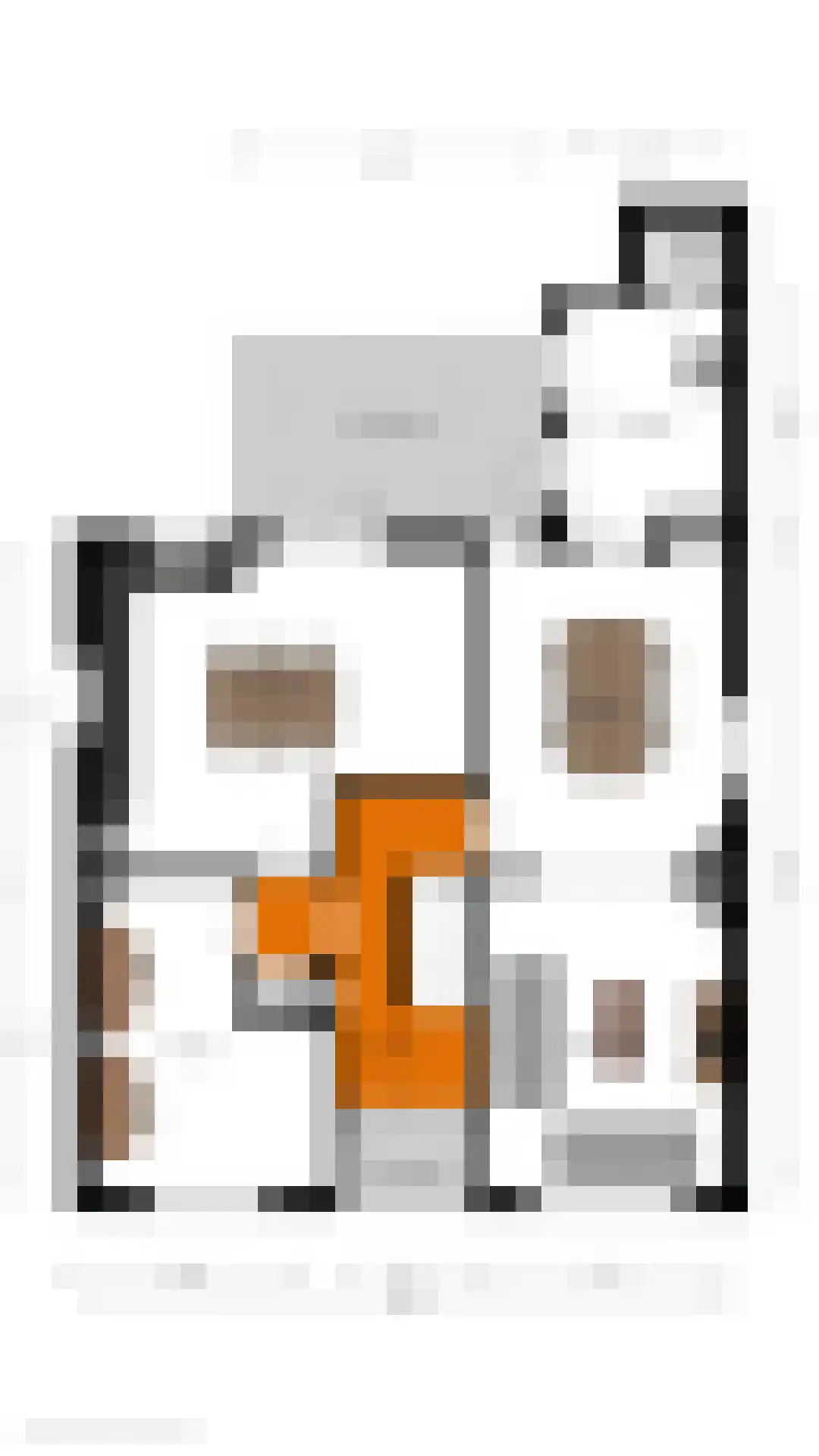 Grotestraat 1 Linne thumbnail 44