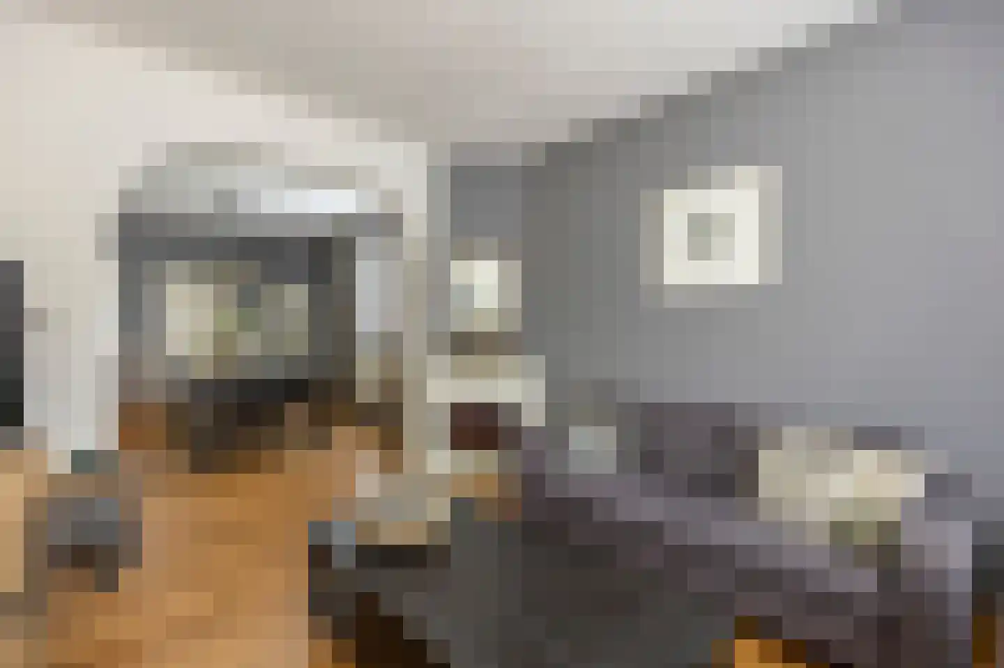 Grotestraat 1 Linne thumbnail 8