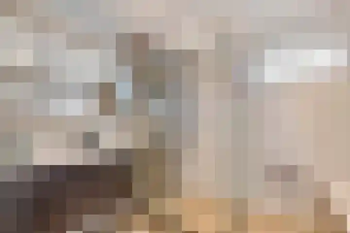 Grotestraat 10 Deest thumbnail 24