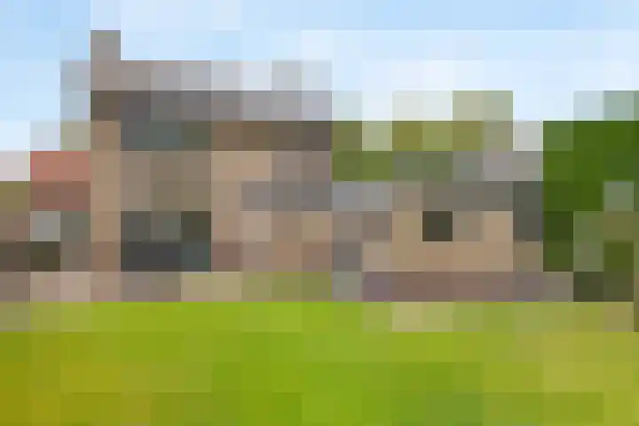 Grotestraat 10 Deest thumbnail 34