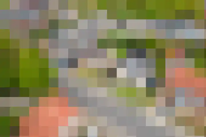 Grotestraat 10 Deest thumbnail 39