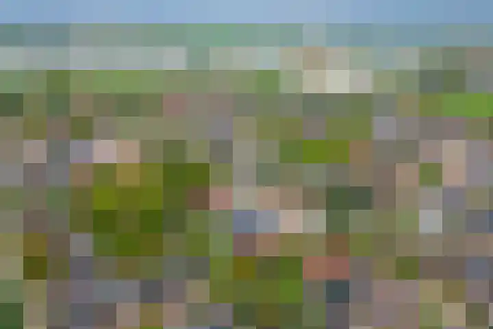 Grotestraat 10 Deest thumbnail 40