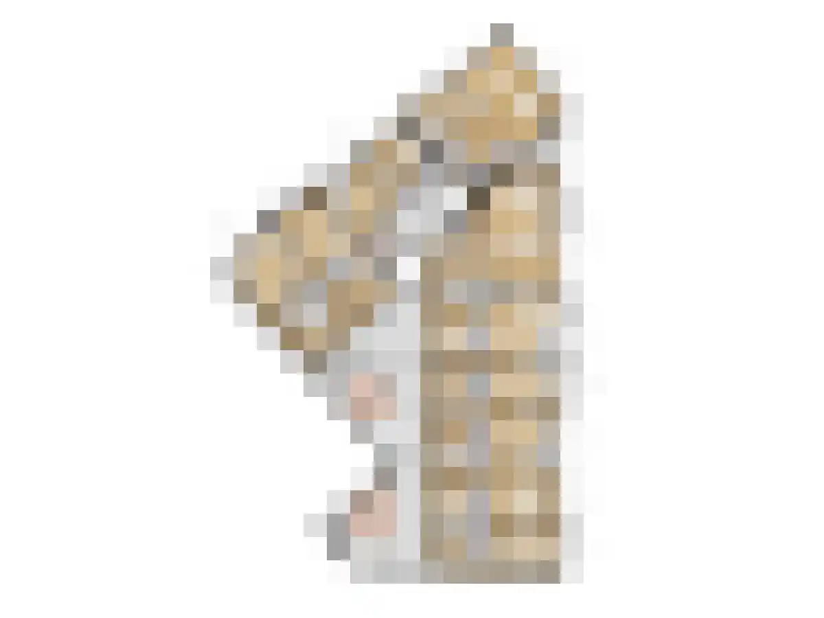 Grotestraat 10 Rijssen thumbnail 6