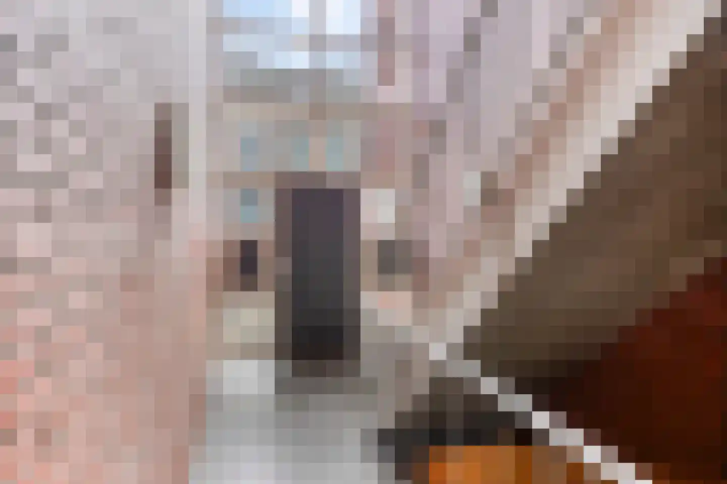Grotestraat 101 Waalwijk thumbnail 8