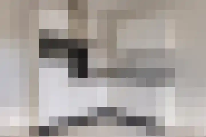 Grotestraat 104 d Borne thumbnail 14