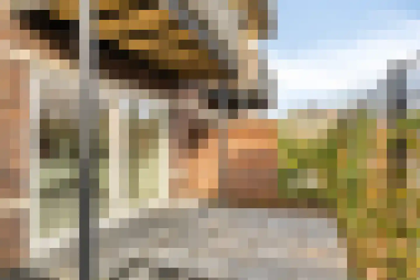 Grotestraat 104 d Borne thumbnail 18