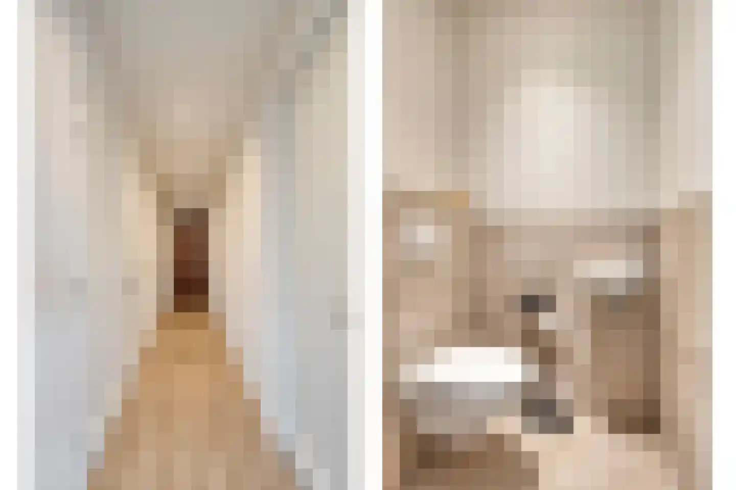 Grotestraat 104 e Borne thumbnail 13