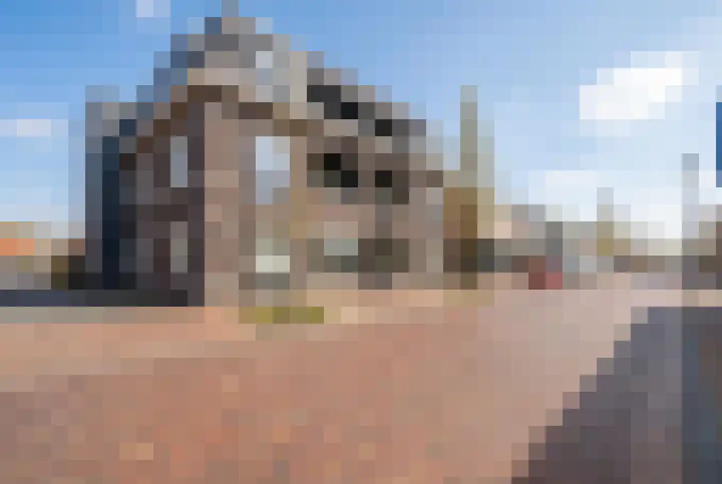 Grotestraat 104 e Borne thumbnail 6