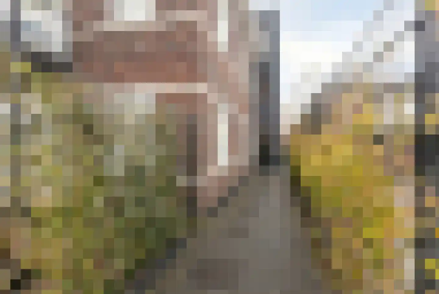 Grotestraat 104 e Borne thumbnail 7