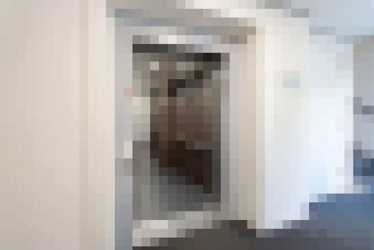 Grotestraat 104 e Borne thumbnail 9