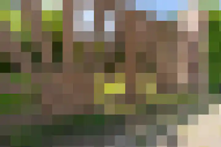 Grotestraat 104 Vierlingsbeek thumbnail 19