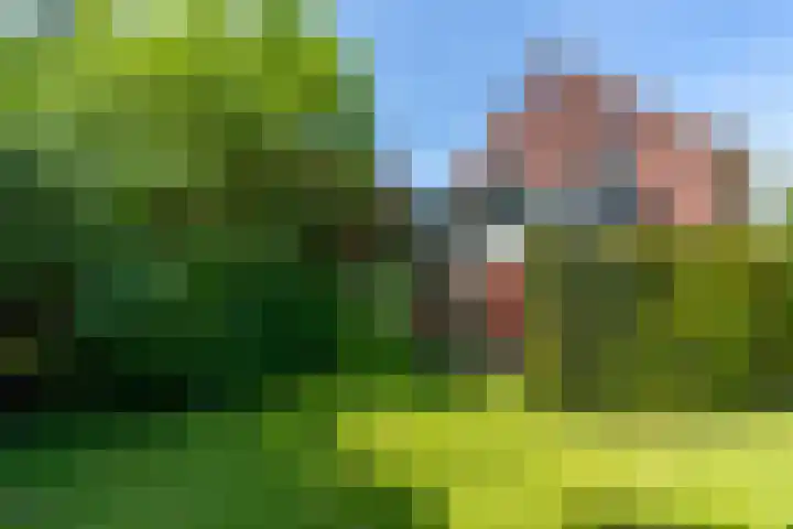 Grotestraat 104 Vierlingsbeek thumbnail 24