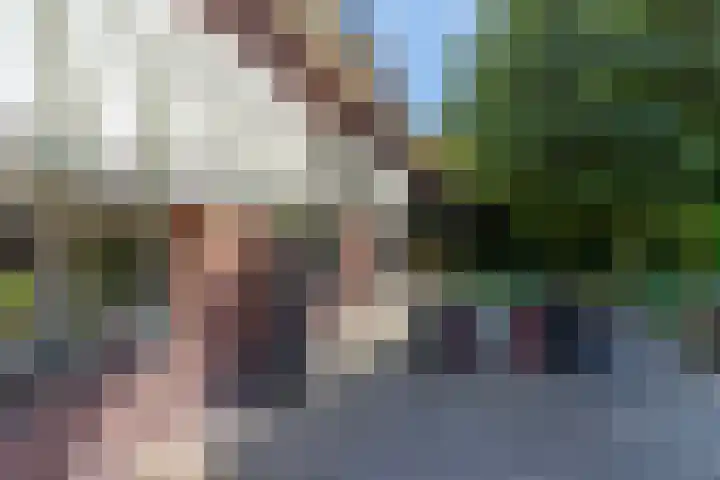 Grotestraat 104 Vierlingsbeek thumbnail 42