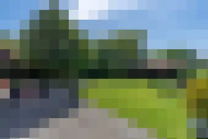 Grotestraat 104 Vierlingsbeek thumbnail 44