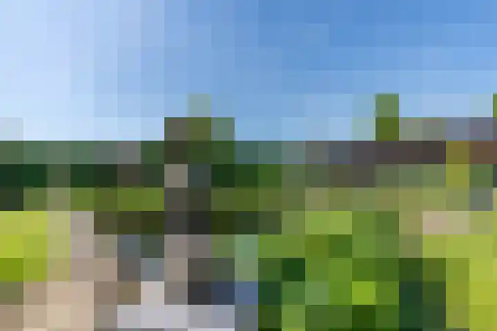 Grotestraat 104 Vierlingsbeek thumbnail 64