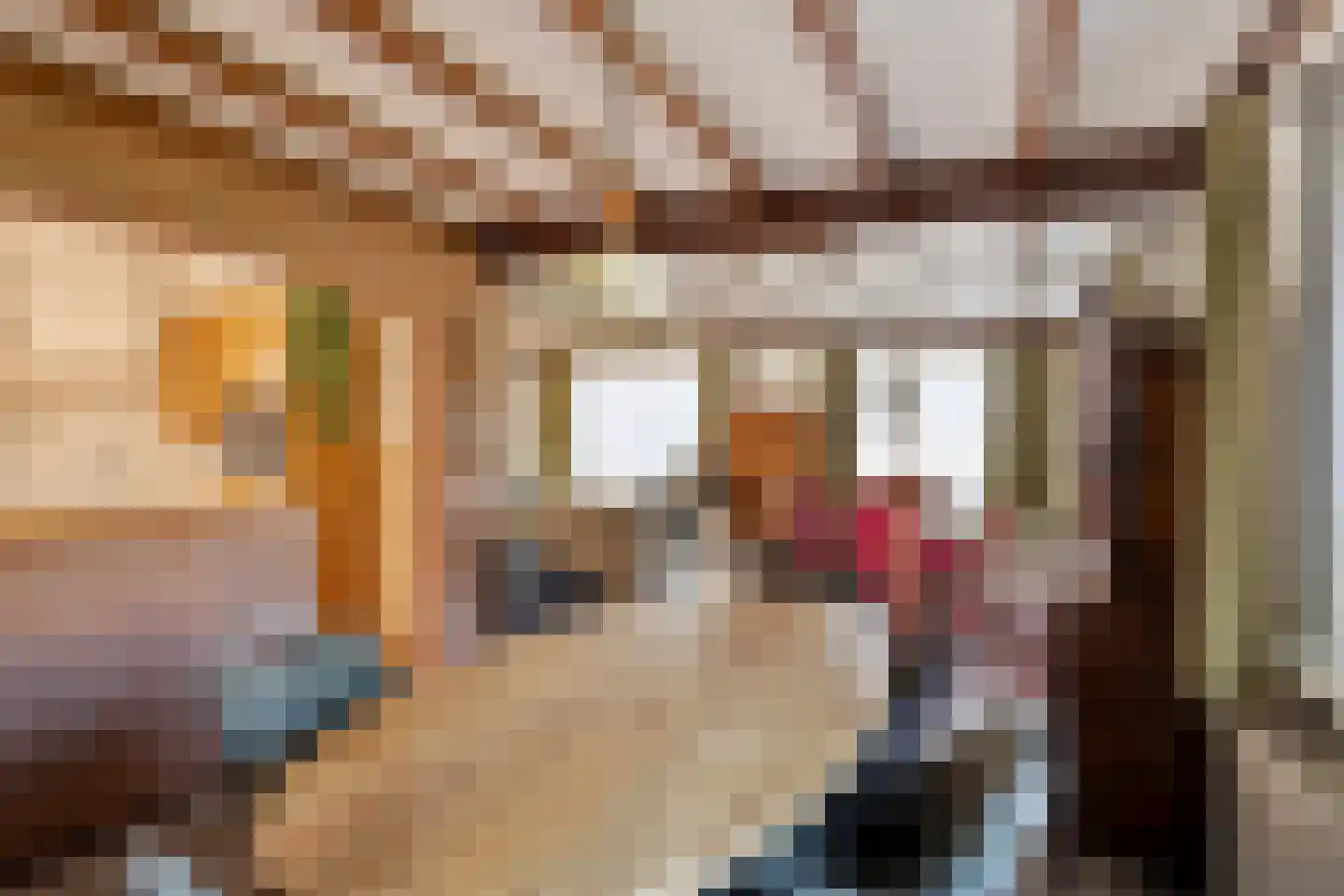 Grotestraat 106 Sambeek thumbnail 10