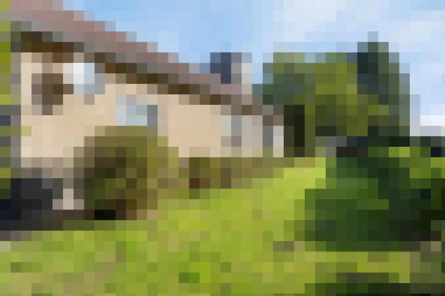 Grotestraat 106 Sambeek thumbnail 26